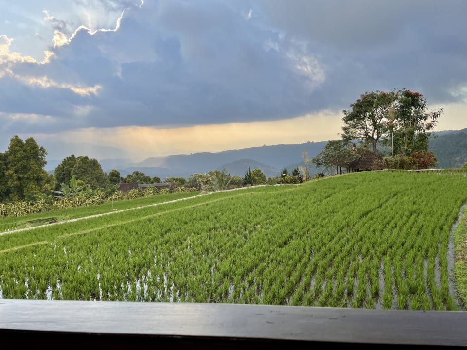 Ausblick Puri Lumbung Cottages