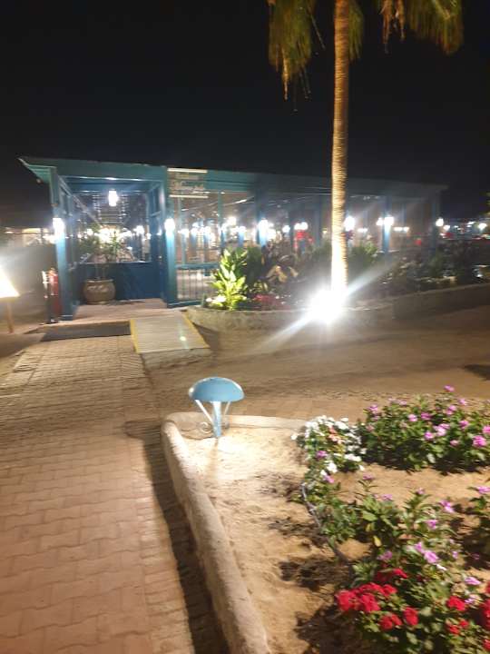 Gastro Club Paradisio El Gouna, Red Sea