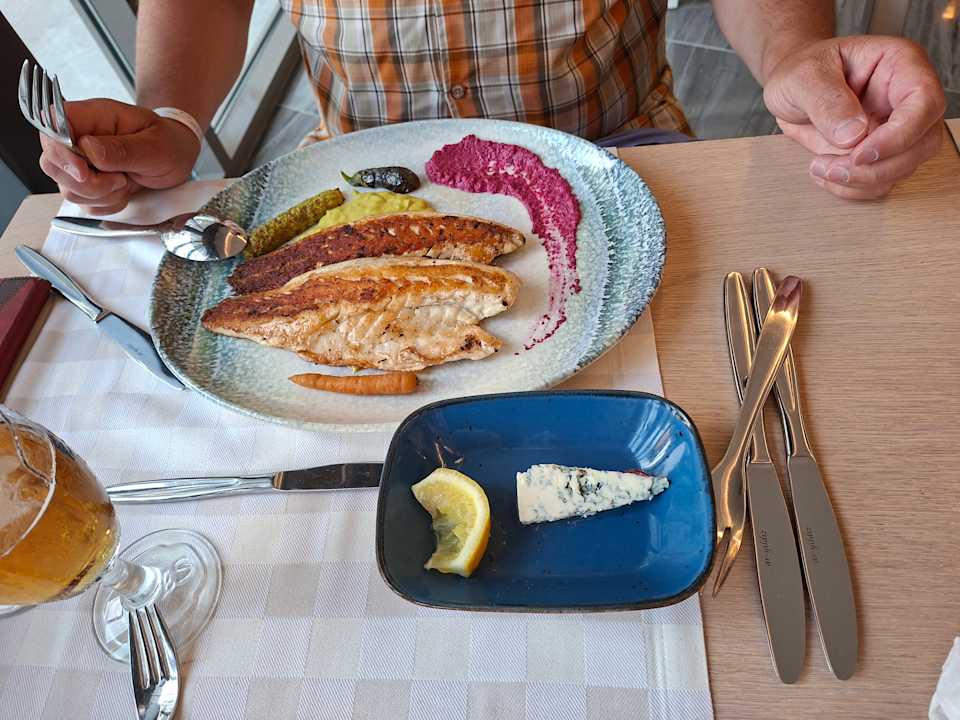 Gastro Seashell Vega