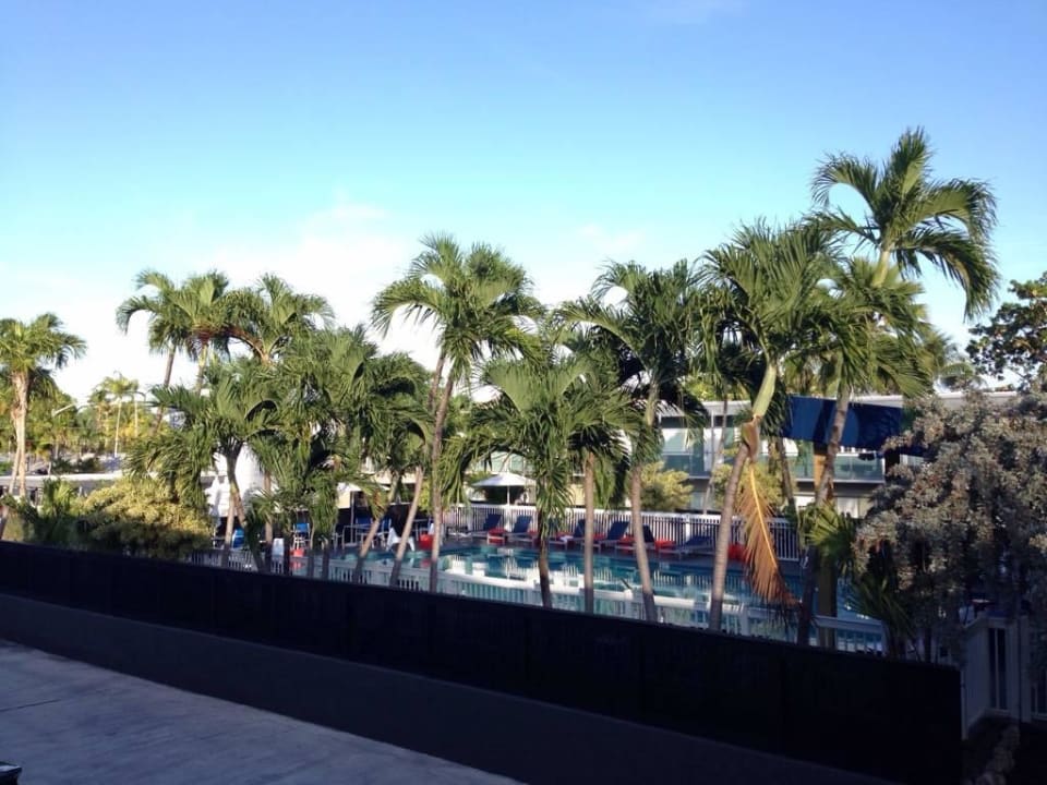 Pool Motel Blue Marlin