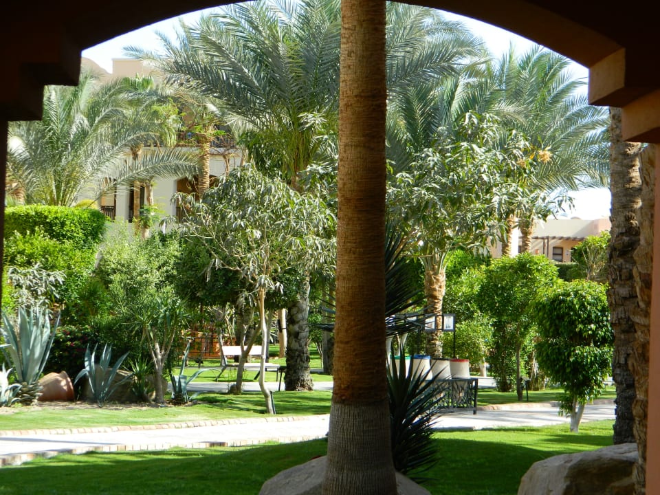 Gartenanlage Jaz Makadi Oasis Resort