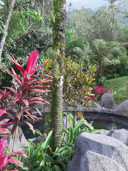 Gartenanlage Arenal Kioro