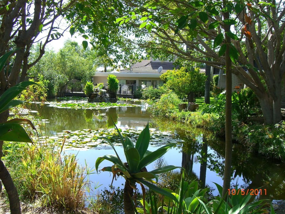 Gartenanlage Hotel Ramada Limited Santa Barbara