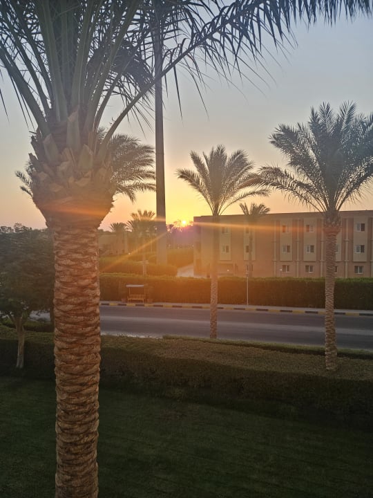 Gartenanlage Stella Garden Resort & Spa, Makadi Bay