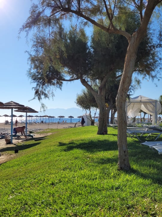 Strand TUI BLUE Oceanis Beach and Spa Resort