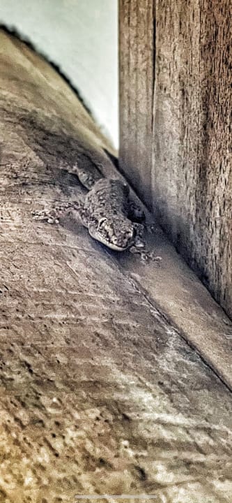 Sonstiges Cinnamon Hakuraa Huraa Maldives