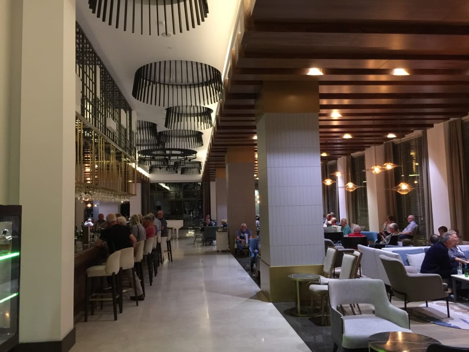 Gastro Acanthus Cennet Barut Collection