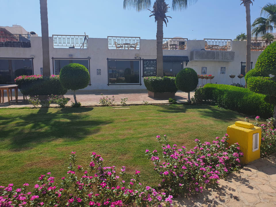 Gartenanlage Sharm Club Beach Resort