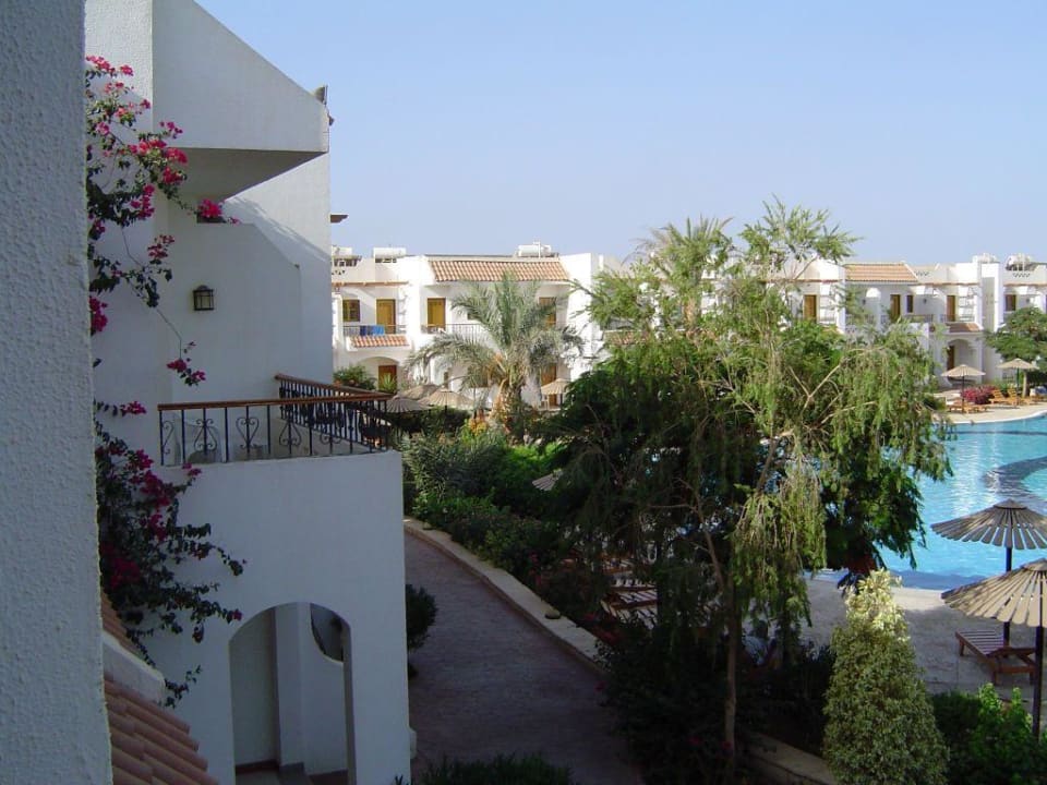 Blick vom Balkon Dive Inn Resort