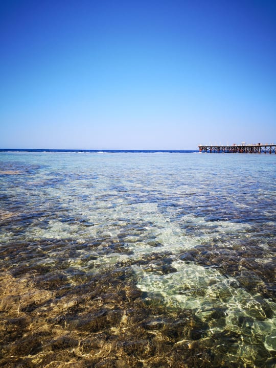Strand Pickalbatros Sea World Resort - Marsa Alam