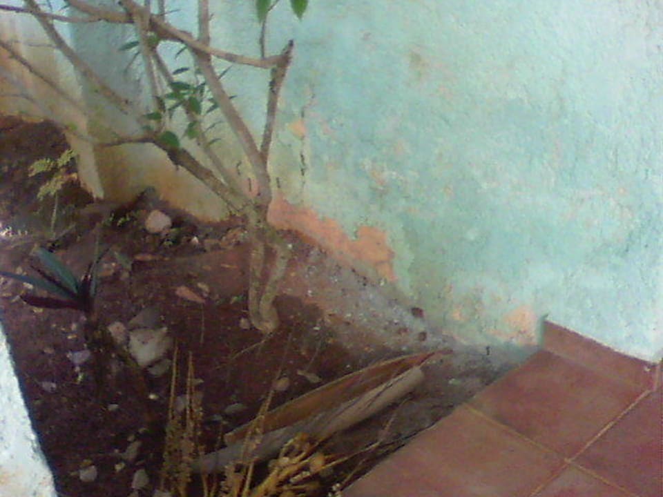 Bungalow Wyndham Alltra Samana