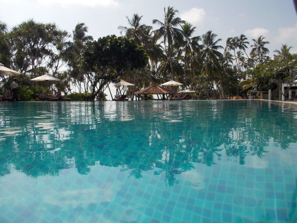 Pool Thaala Bentota