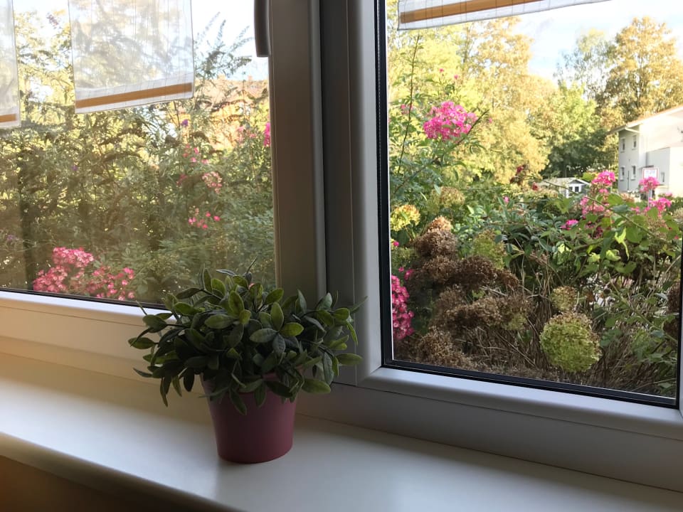 Ausblick Hotel Zug um Zug