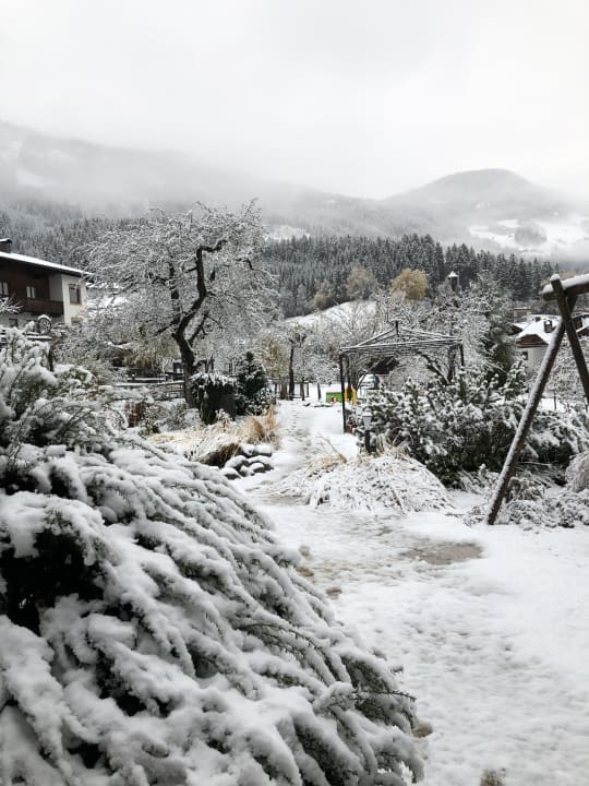 Ausblick Hotel Kohlerhof