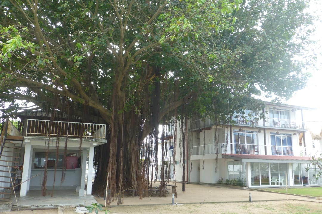 Außenansicht Hotel Pigeon Island Beach Resort