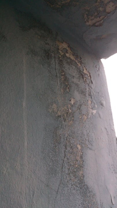 Schimmel im Außenbereich Hotel Tulipan