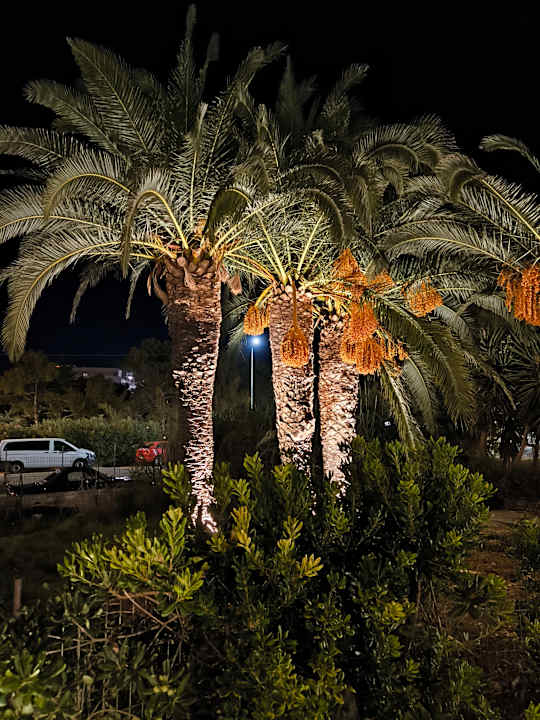 Sonstiges Noho by Azul Collection