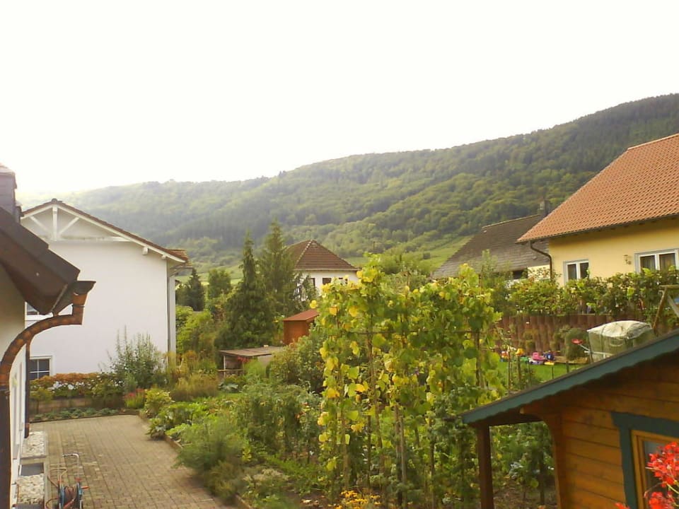 Aussicht von der Terrasse Gasthof Zur Römervilla