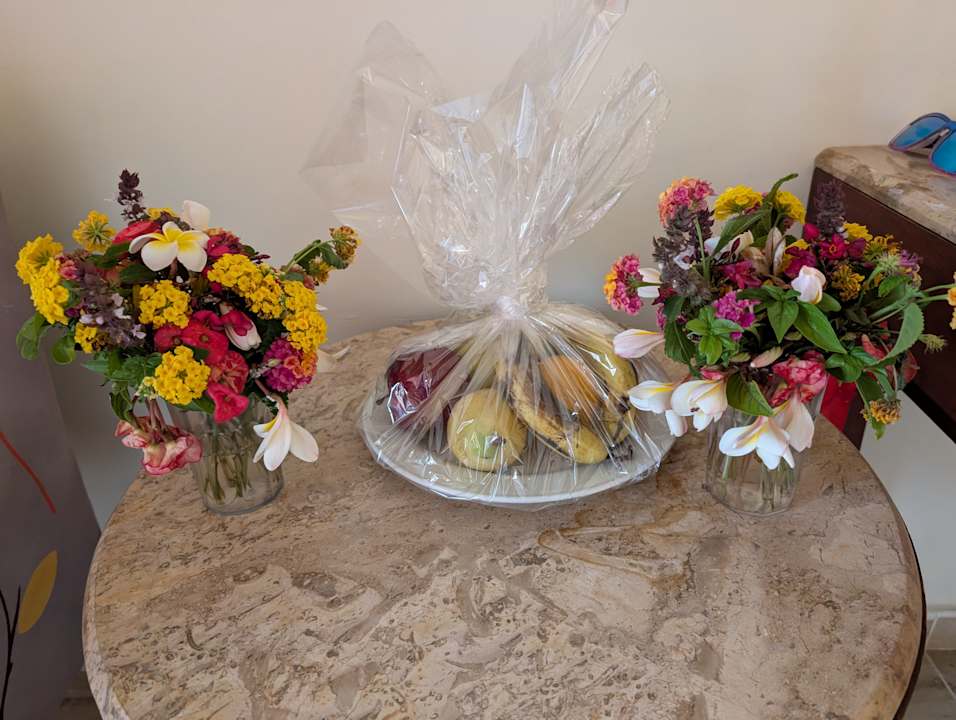 Zimmer Malikia Resort Abu Dabbab