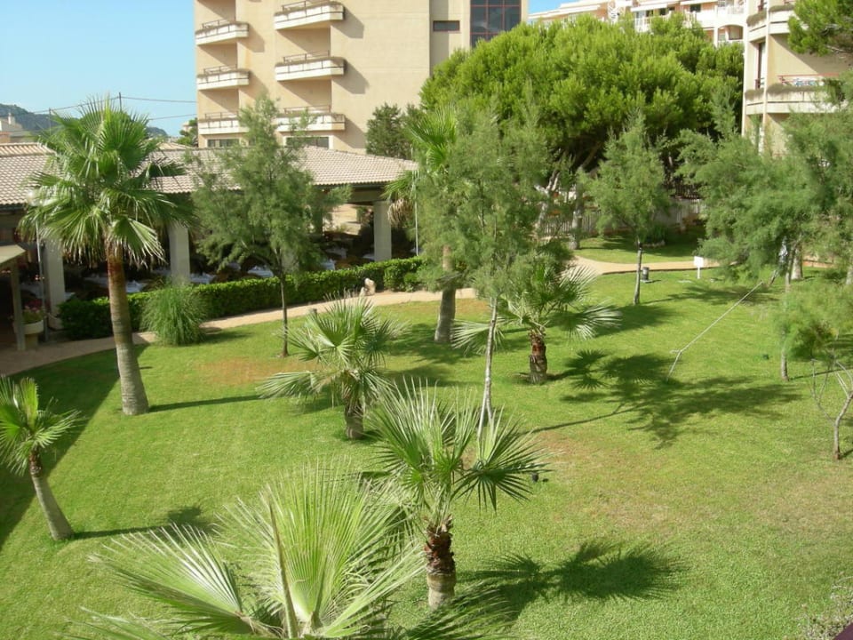 Blick vom Balkon Protur Turo Pins Hotel