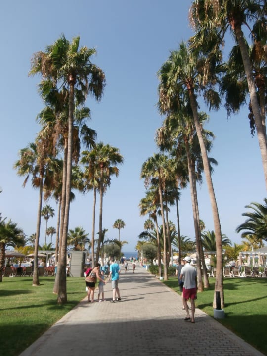 Wie Schön... Hotel Riu Palace Tenerife