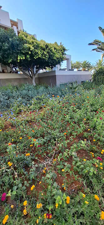 Gartenanlage Anissa Beach & Village