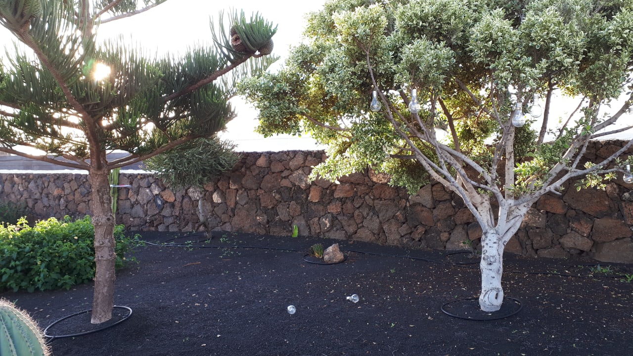 Gartenanlage Hotel El Caserio de Guime