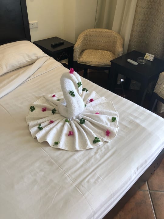 Zimmer Three Corners Sea Beach Resort