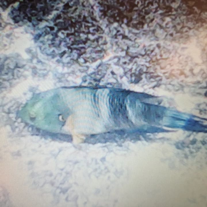 Sport & Freizeit Utopia Beach Club