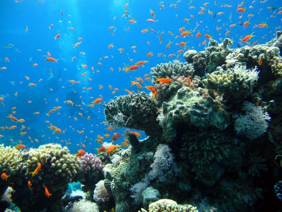 Canyon Garden Hotel Inmo Divers Home