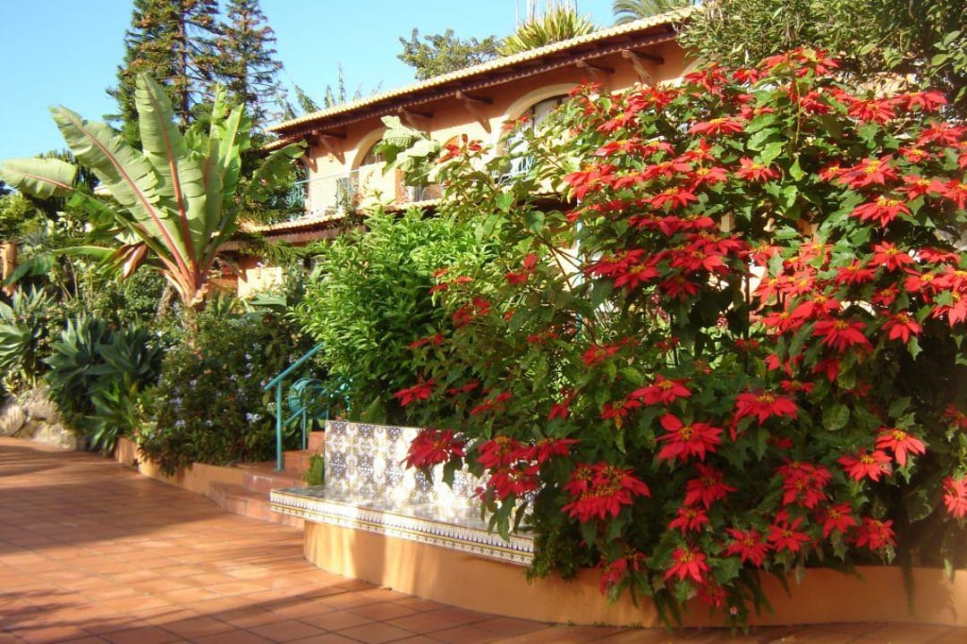 Blumen in der Anlage Hotel Quinta Splendida Wellness & Botanical Garden