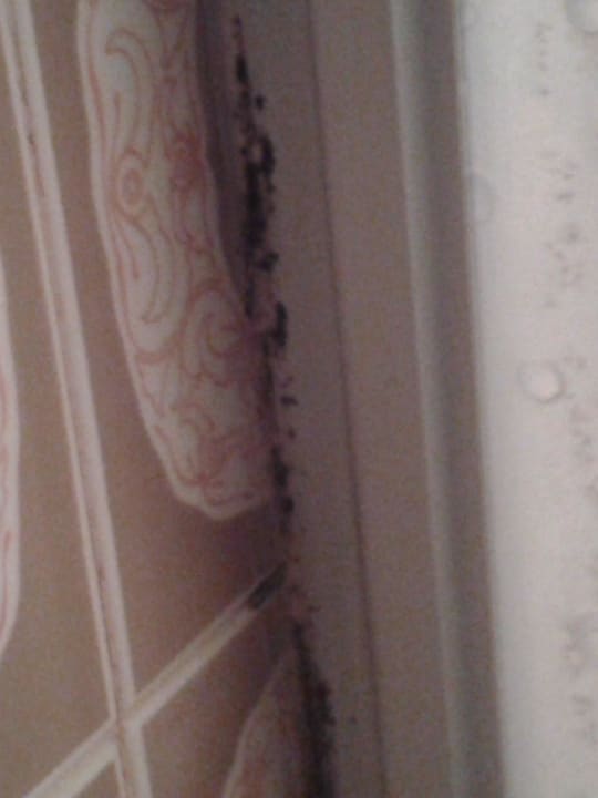 Schimmel in der Dusche Hotel Teola