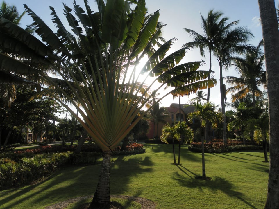Gartenanlage Punta Cana Princess All Suites Resort & Spa