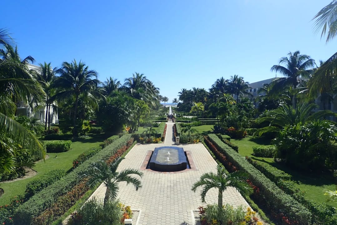 Ausblick Dreams Tulum Resort & Spa