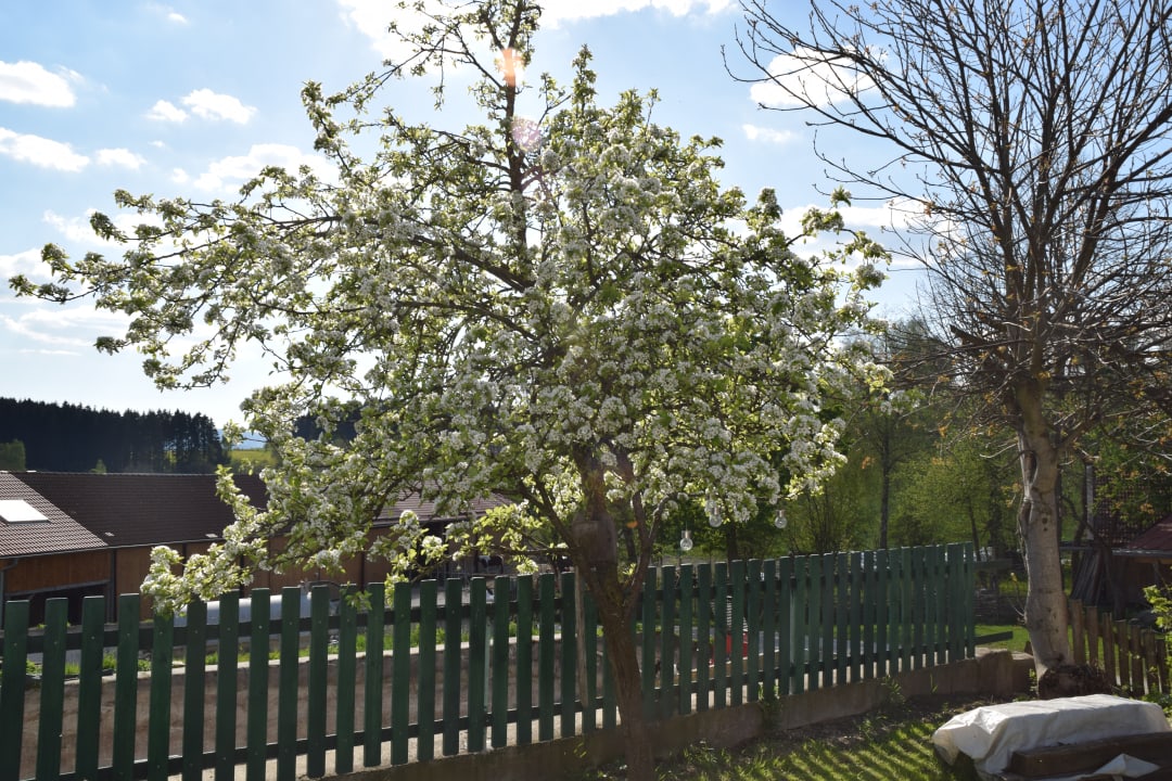 Gartenanlage Weidererhof