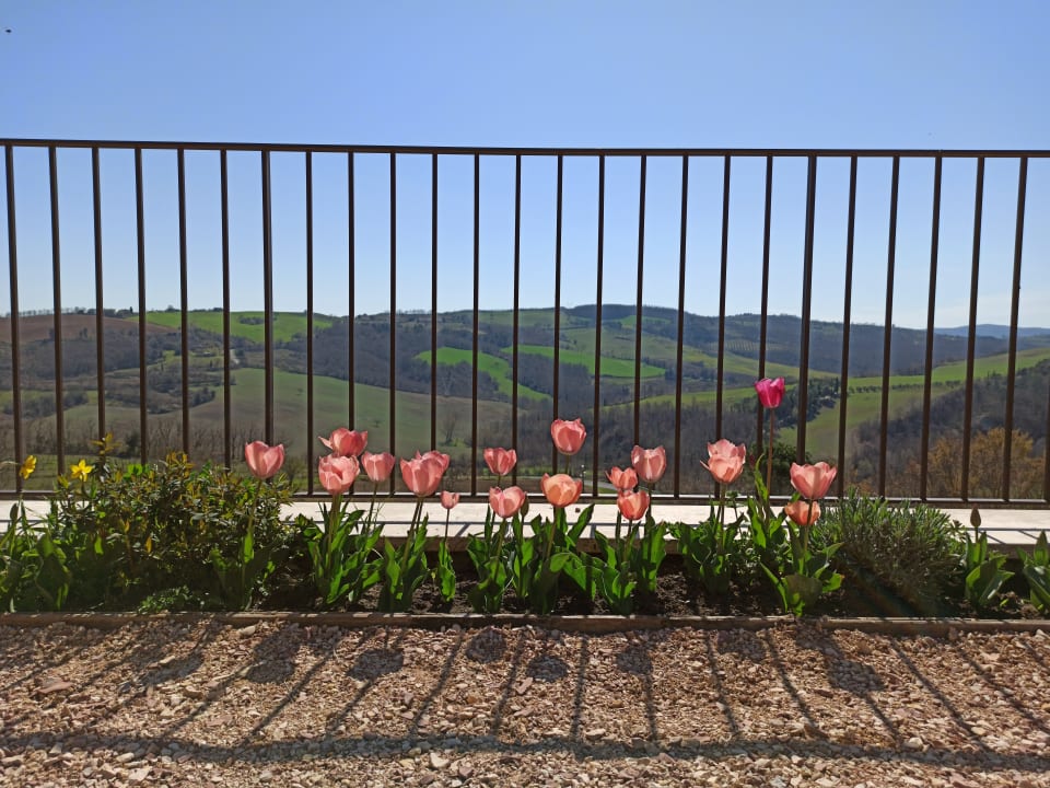 Gartenanlage Agriturismo Casa Greppo - Il Mandorlo