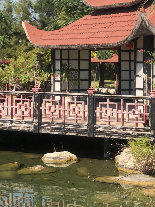 Sonstiges Flora Garden Beach Hotel ( 16+ Adults Only )