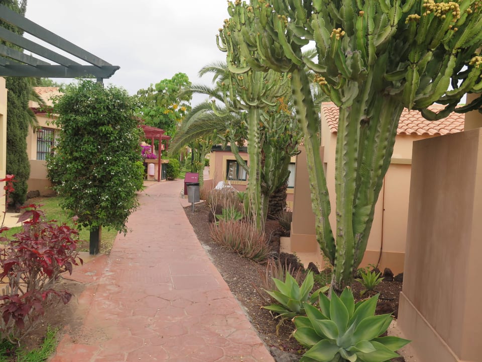 Weg zwischen den Bungalows allsun Hotel Esplendido
