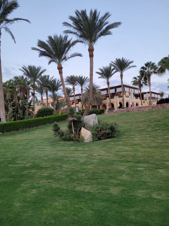 Gartenanlage Steigenberger Coraya Beach - Adults only