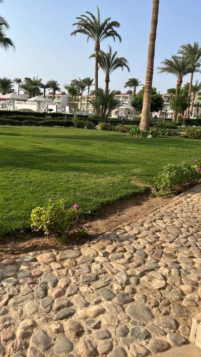 Gartenanlage Amarina Abu Soma Resort & Aquapark