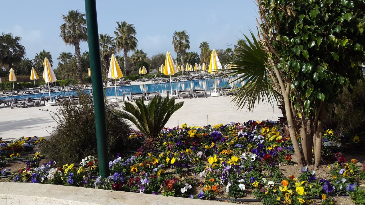 GARTEN MIT POOL VONRESORT Golden Coast