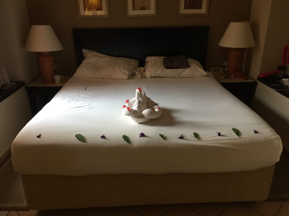 Gartenanlage Steigenberger Coraya Beach - Adults only