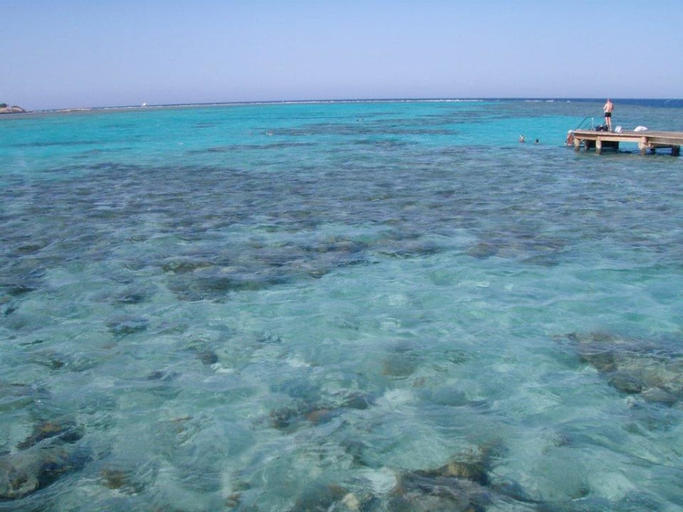 Schnorchelparadies Hotel Sheraton Soma Bay Resort