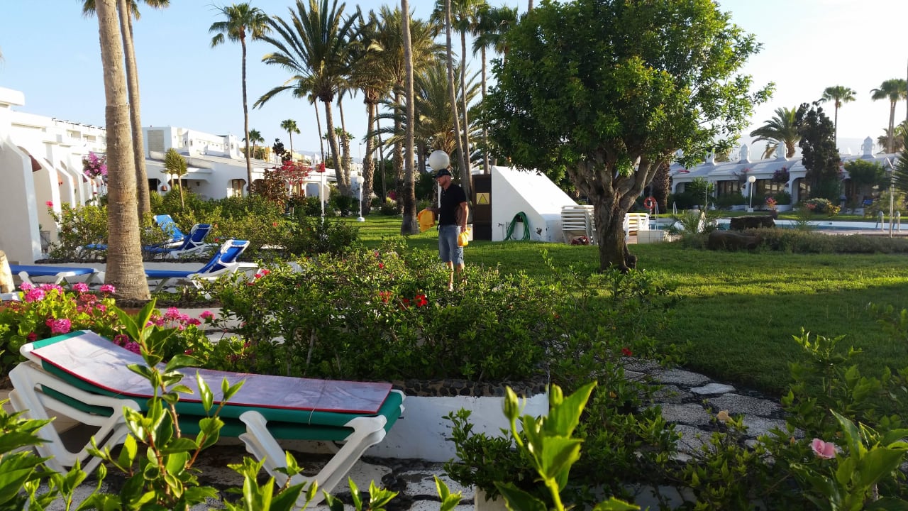 Garten mit Martin / Brötchenservice Sahara Beach Club