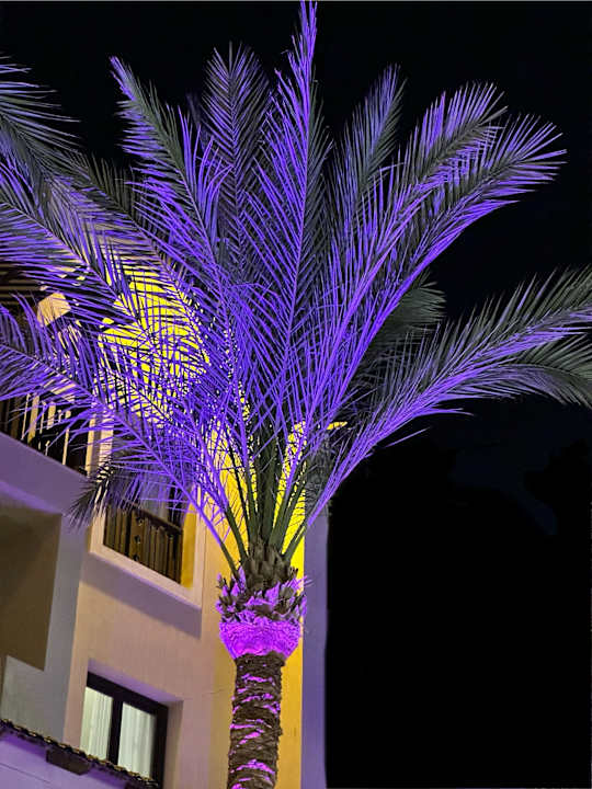 Sonstiges Steigenberger Aqua Magic