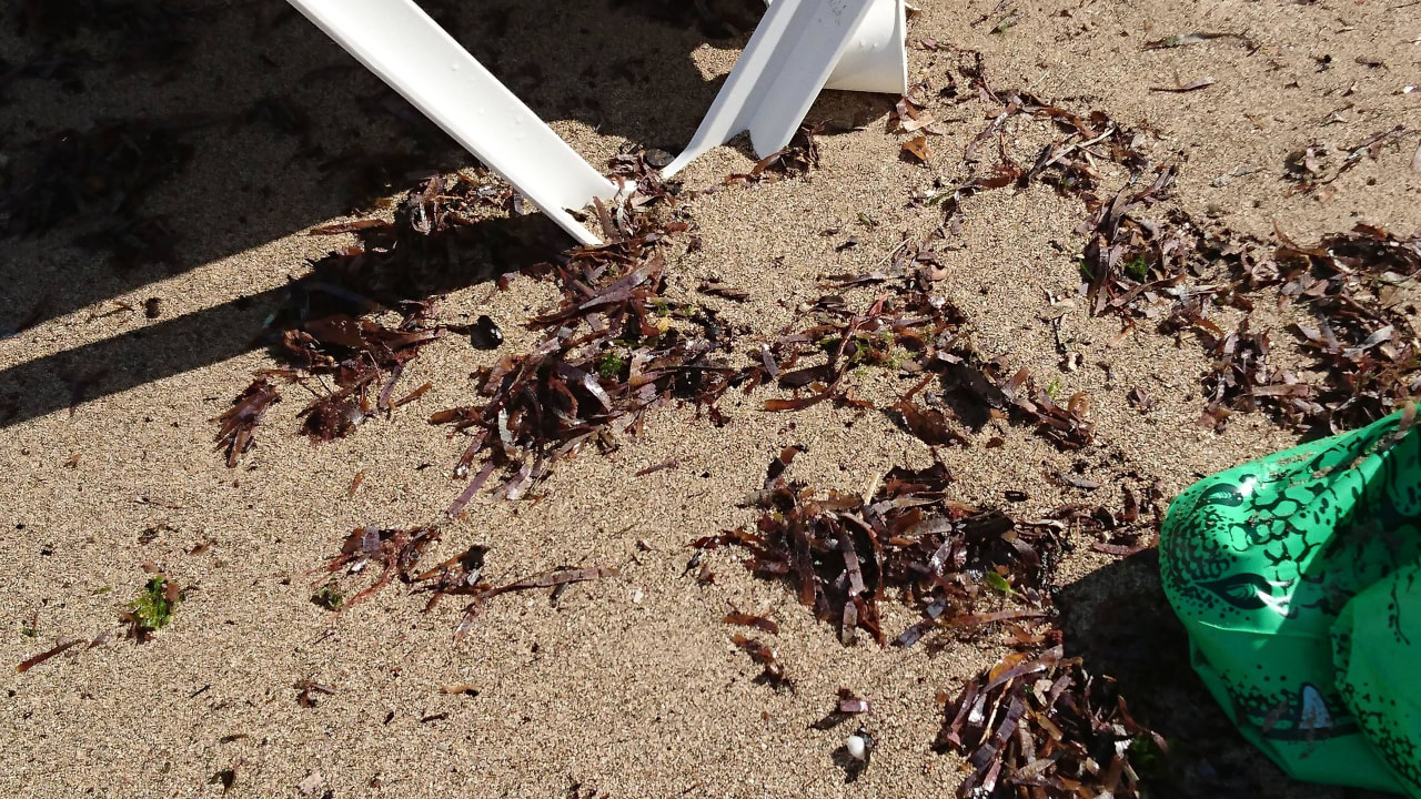 Wasser und Strand verdreckt Playabachata Hotel