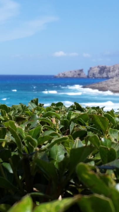 Ausblick von der Terrasse VIVA Cala Mesquida Resort & Spa