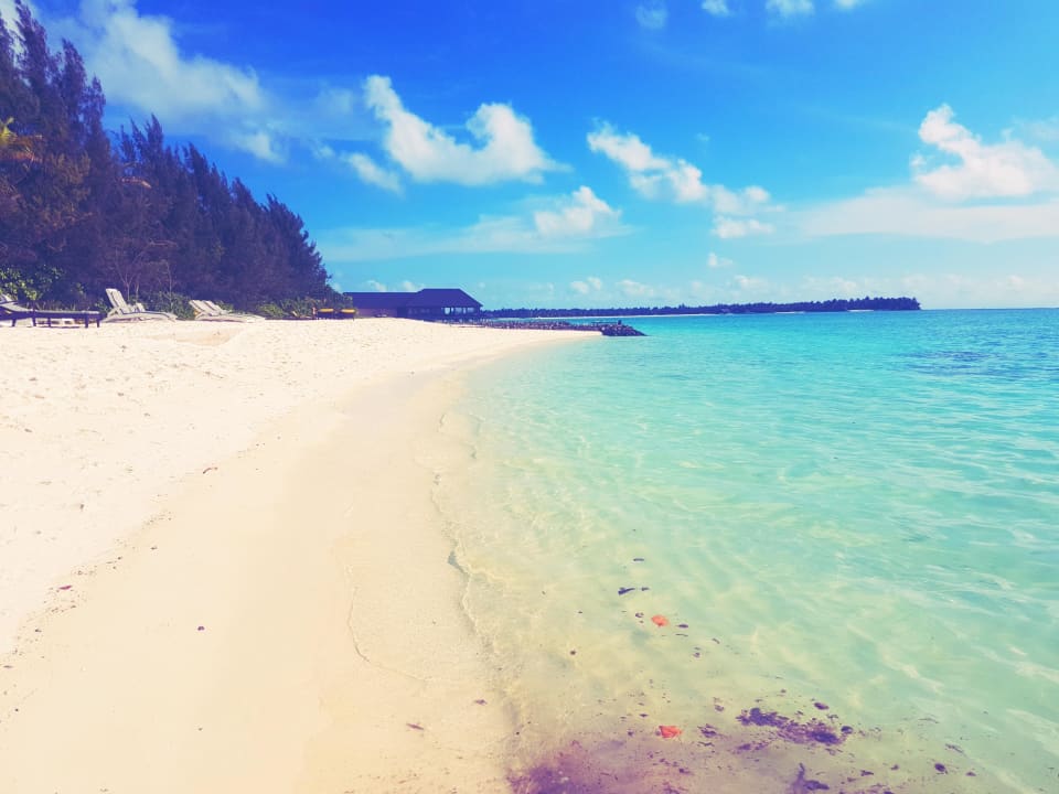 Strand Summer Island Maldives