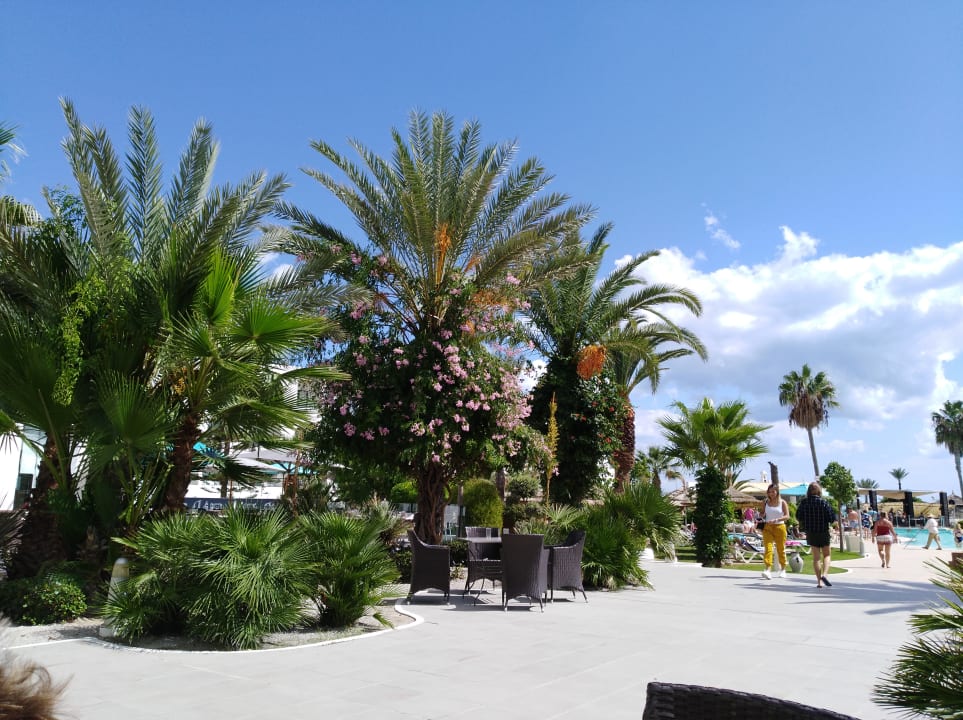 Gartenanlage Nozha Beach Resort & Spa