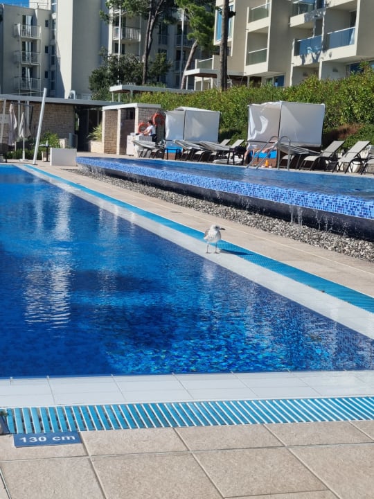 Pool Valamar Girandella Designed for Adults